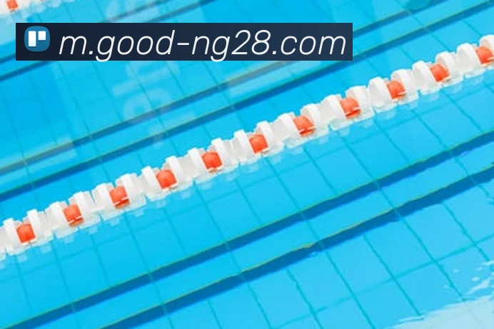 南宫28发展历程